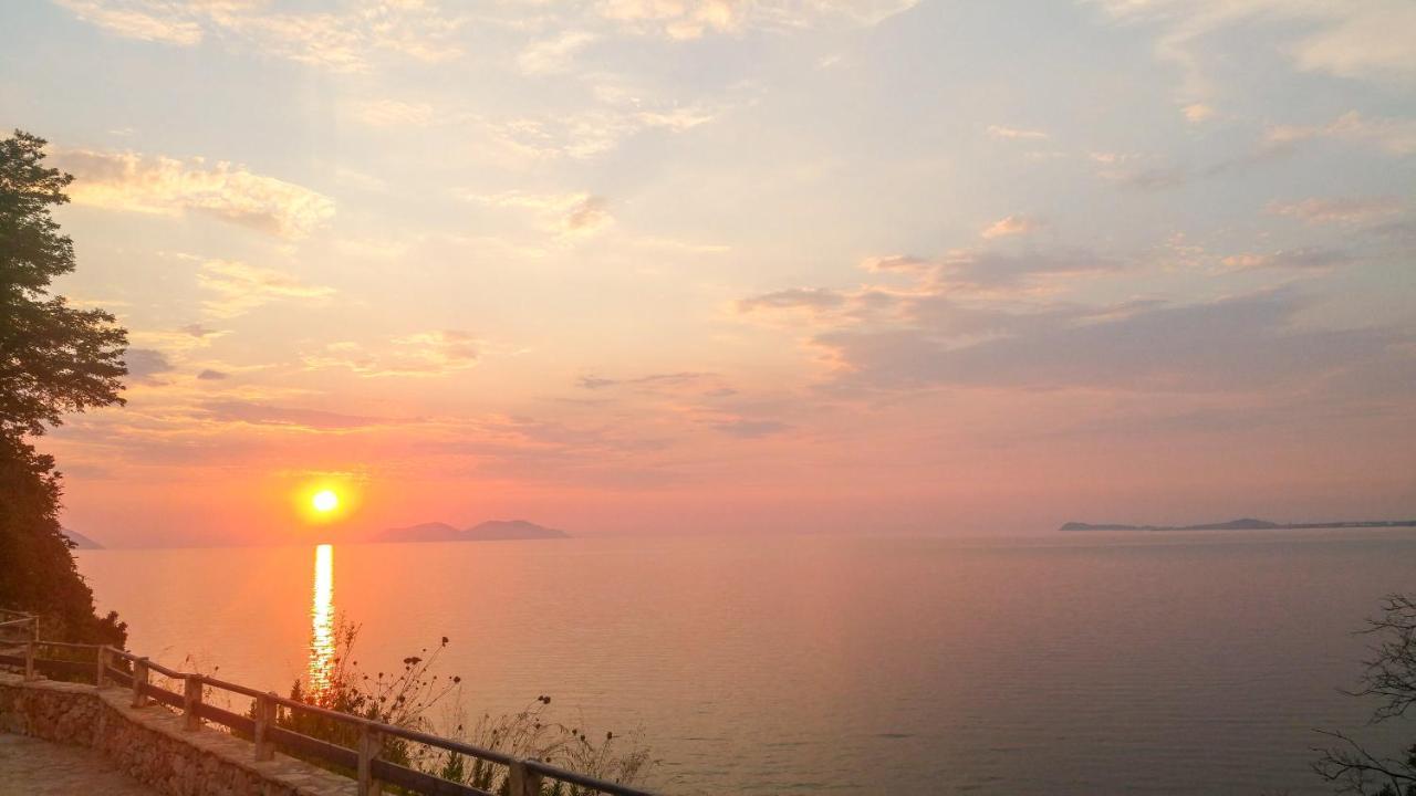 Aqua Holiday Apartments Avlonya Dış mekan fotoğraf