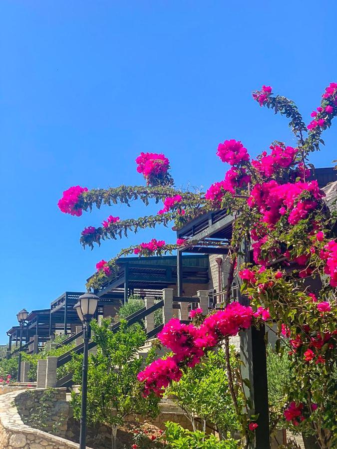 Aqua Holiday Apartments Avlonya Dış mekan fotoğraf